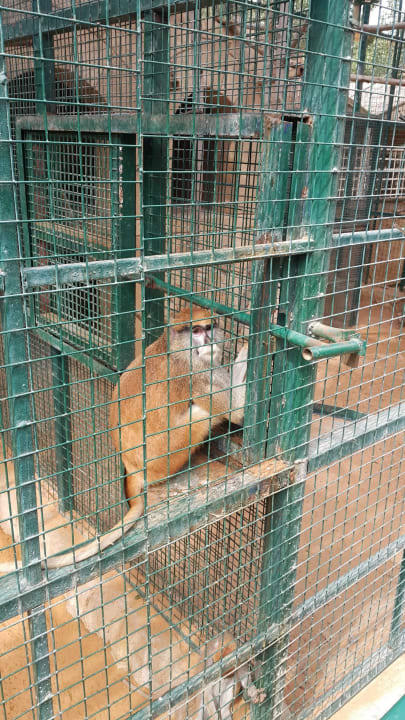 Zoo Hotel Emirates Park Resort