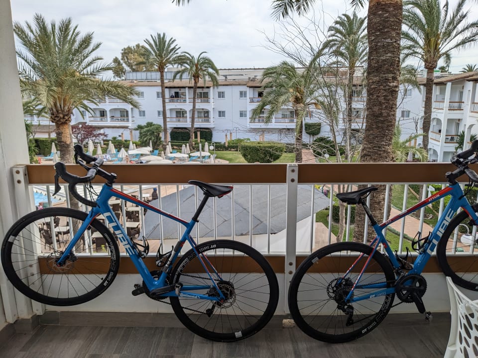 Zimmer Alcudia Garden Aparthotel