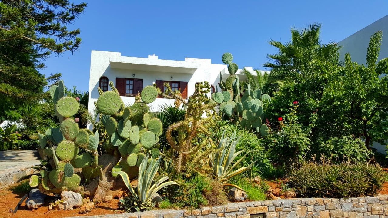 Gartenanlage Sentido Kyknos Beach Adults Only 16+