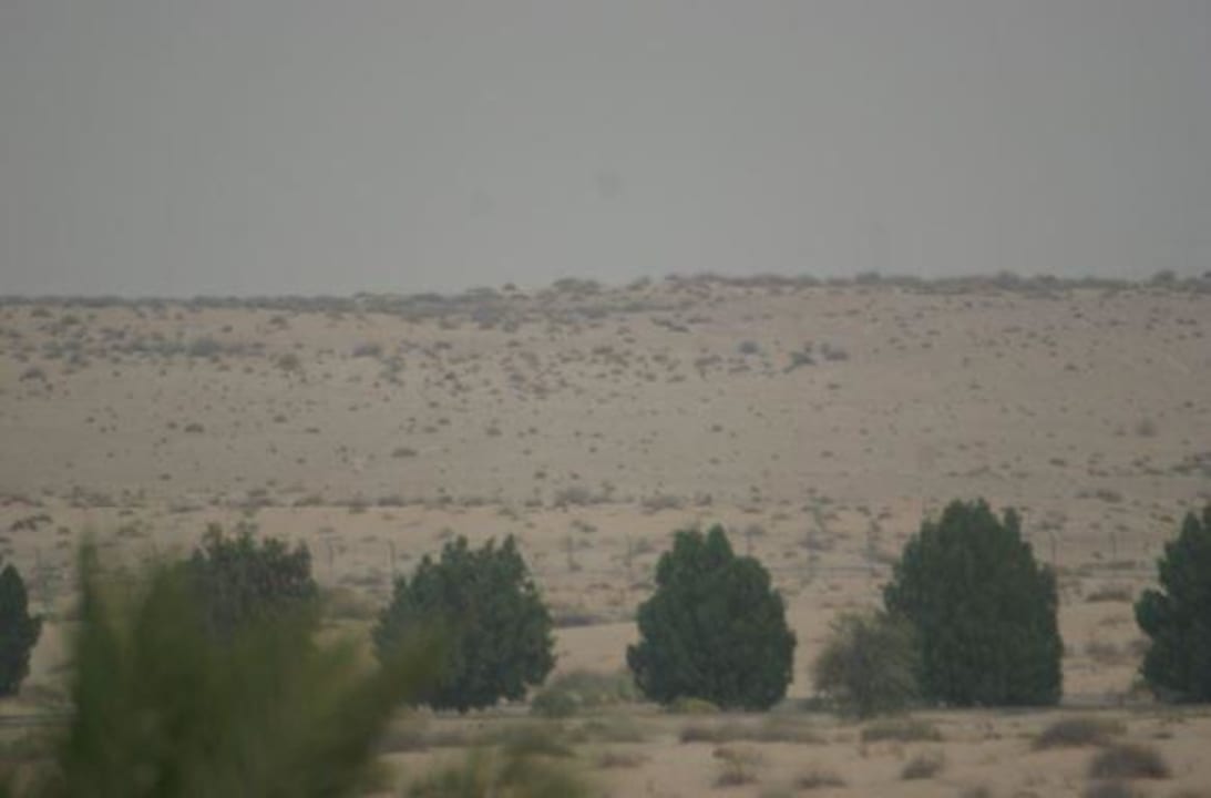 Reine Steppenwüste, weisser Sand Hotel Bab Al Shams Desert Resort & Spa