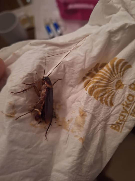 Zimmer Brayka Bay Resort