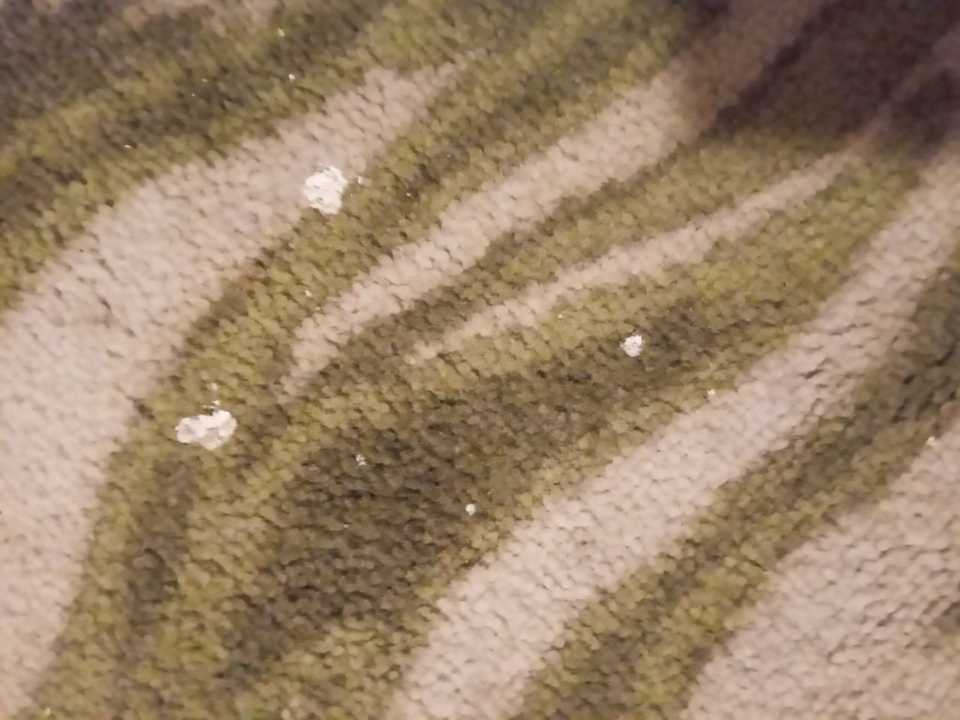 Zimmer Prenses Sealine Beach Hotel