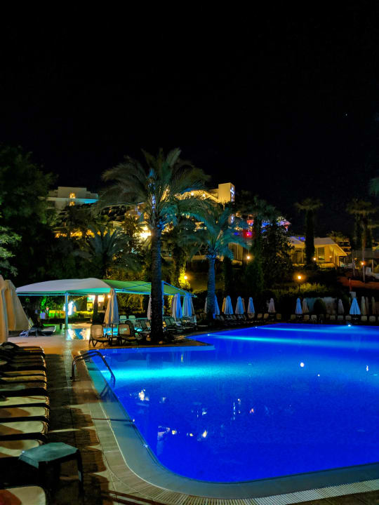 Pool Side Star Elegance