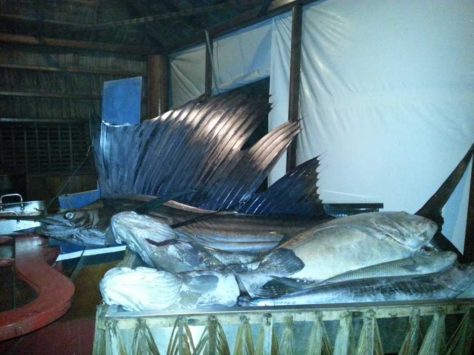 Fische  Palm Beach Resort & Spa Maldives