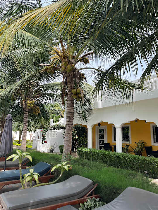 Gartenanlage Dulaa Deema Residence Brufut Heights