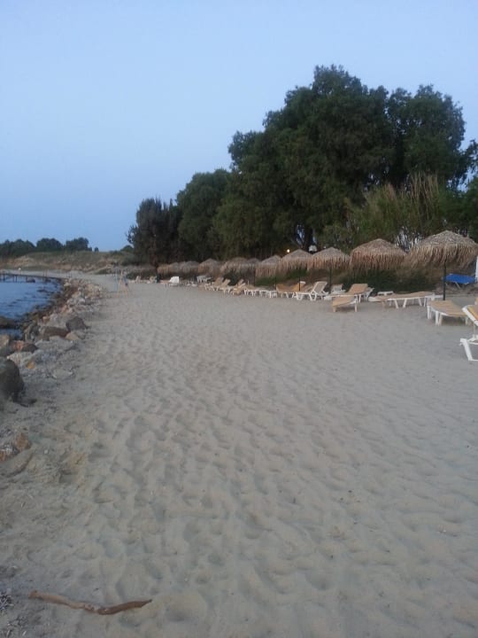 Hoteleigener Strand Mastichari Bay Hotel