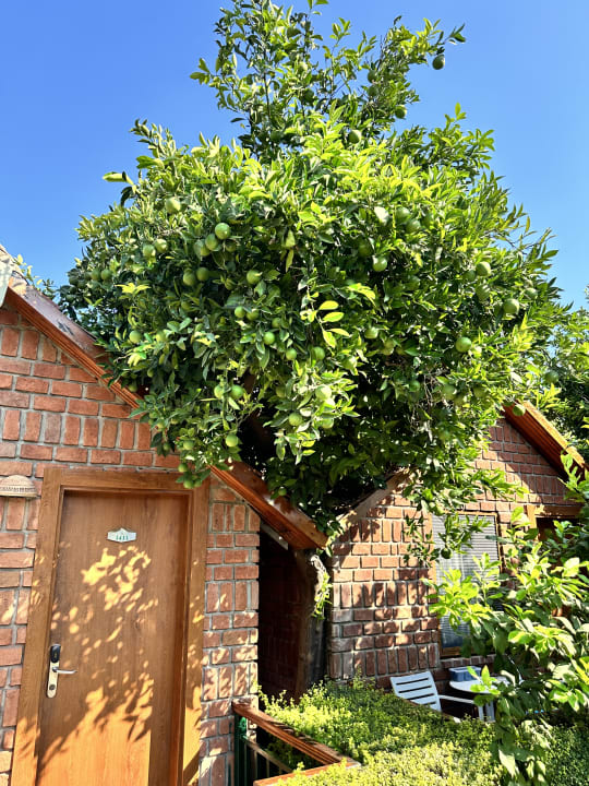 Gartenanlage Can Garden Beach