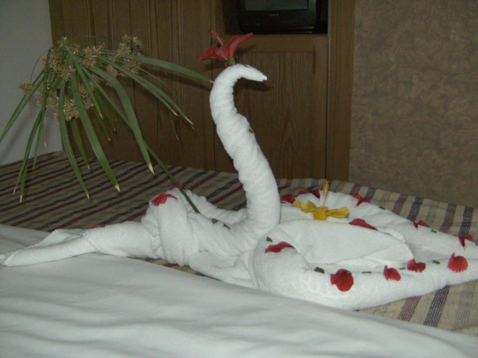 Deine Hand-und Badetücher Ghazala Beach