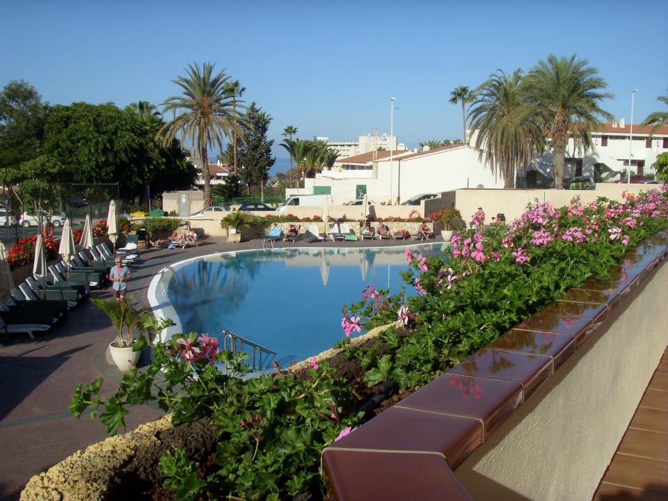 Poolanlage und Aussenbar Ole Tropical Tenerife