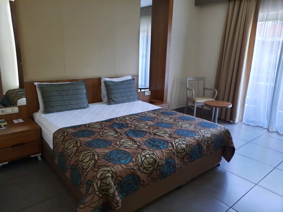 Zimmer AQI Pegasos World