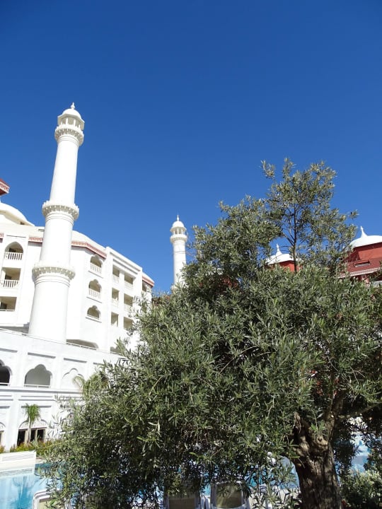 Royal Taj Mahal Side Royal Taj Mahal Hotel