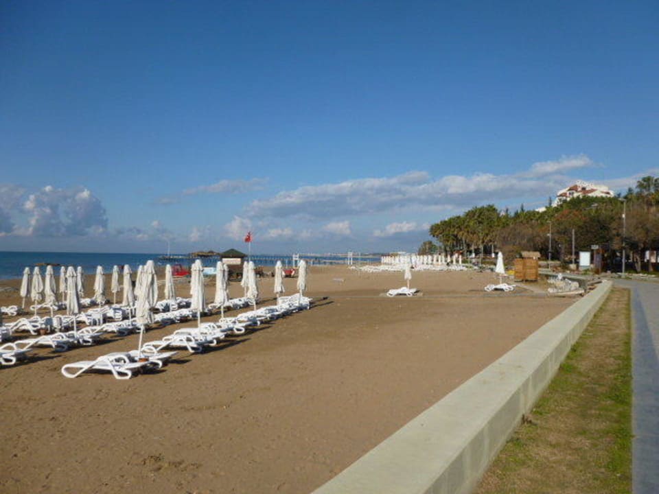 Plage en février Arum Barut Collection