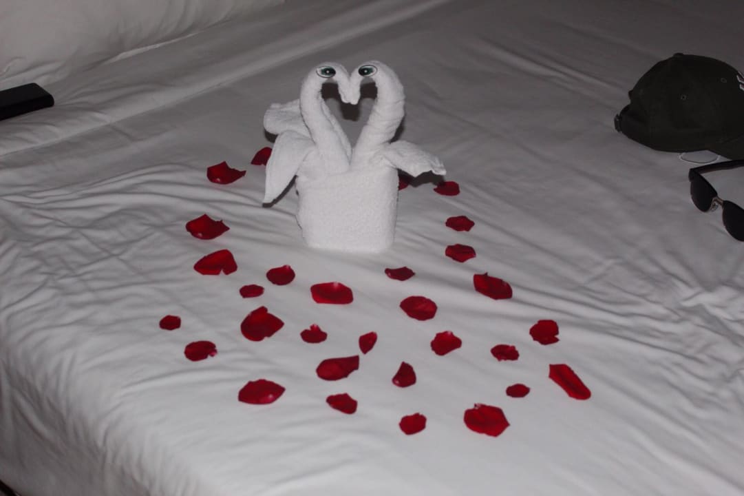 Zimmer Akumal Bay Beach & Wellness Resort