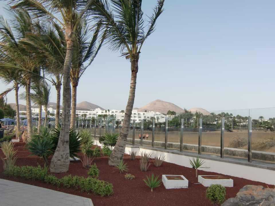 Gepflegte Garten-Anlage Hotel Las Costas