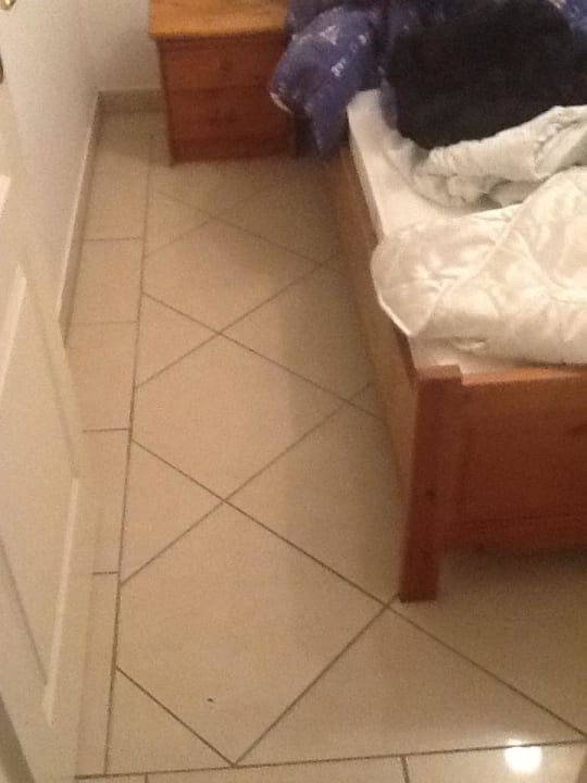 Kakerlaken Ferienhaus Achter de Dünen