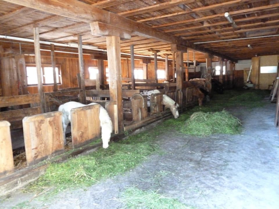 Stall Feriendorf Holzleb'n