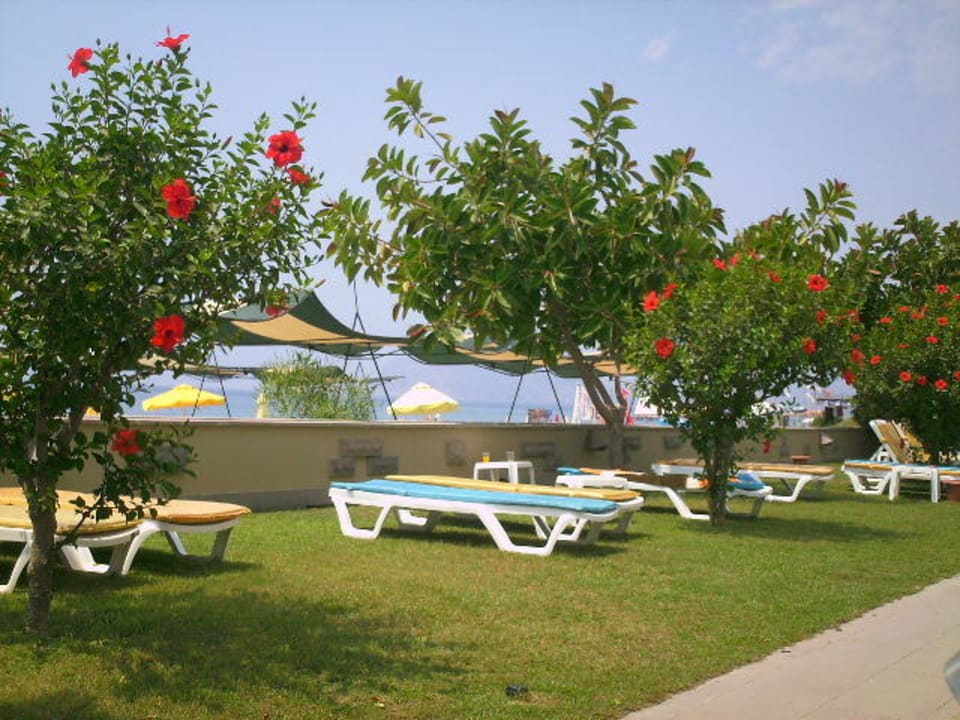 Poolanlage Senza Sunset Beach Hotel
