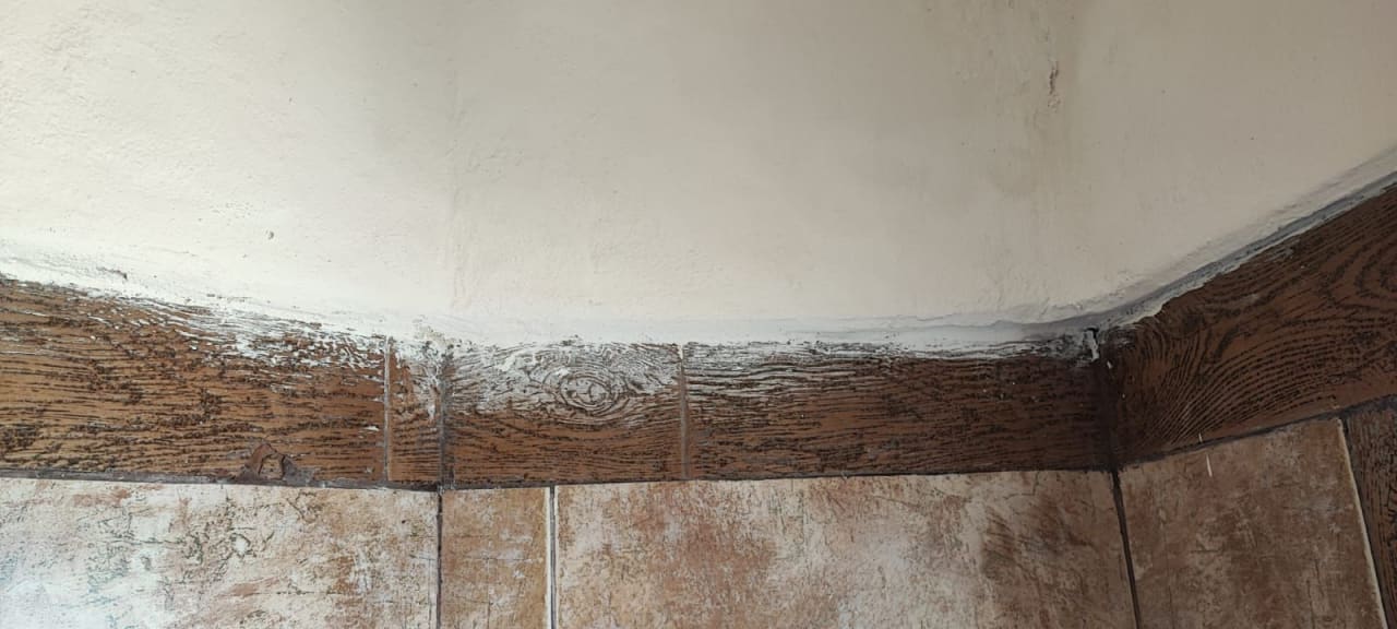 Zimmer Pickalbatros Citadel Resort