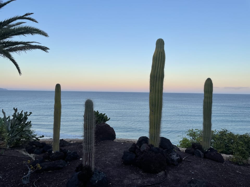 Ausblick R2 Pajara Beach