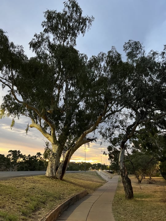 Ausblick Mercure Alice Springs Resort