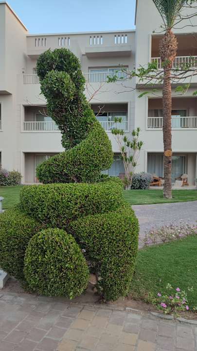 Gartenanlage Jaz Soma Beach