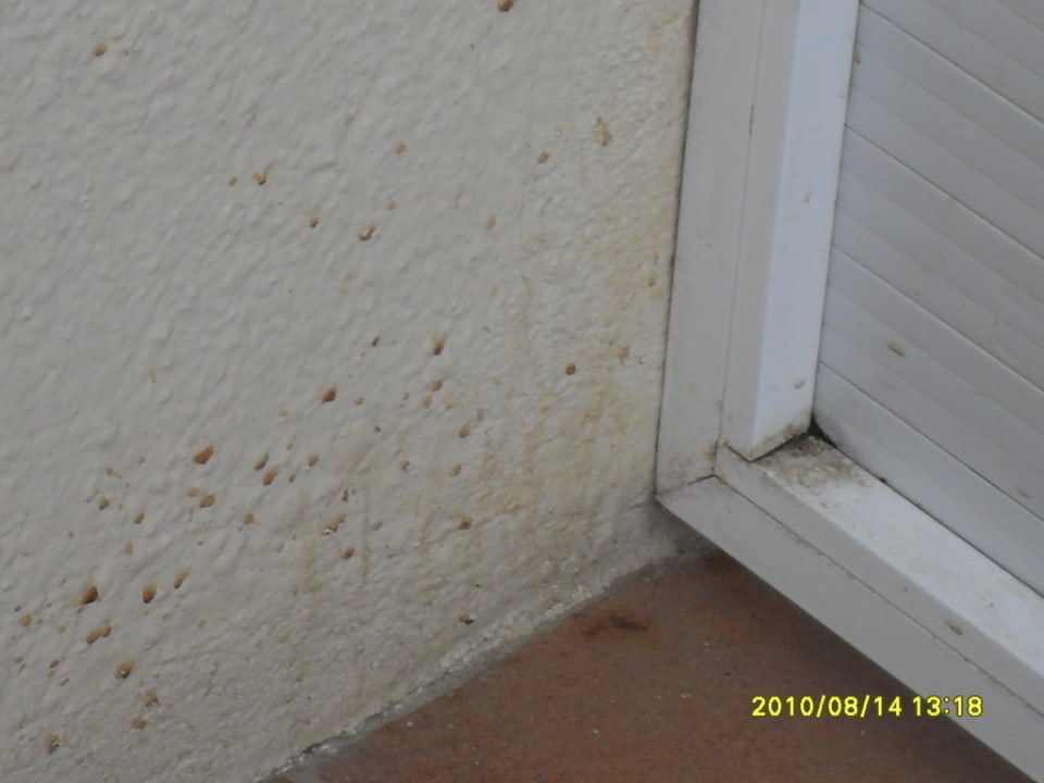 Terrasse Hotel Reymar