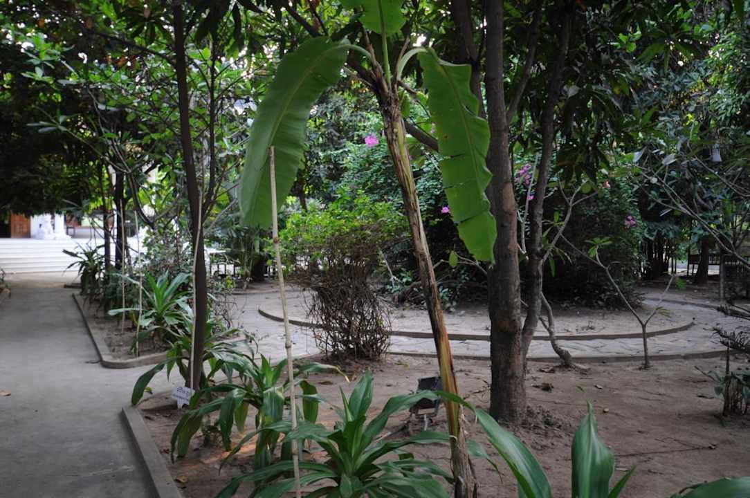 Der Garten Hotel The Kabiki