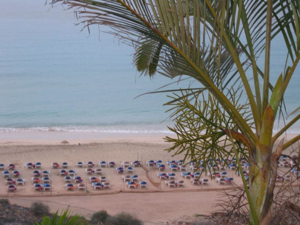 Blick von Spätfrühstücksterrasse Fuerteventura Princess