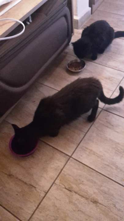 Zimmer La Finca Marina