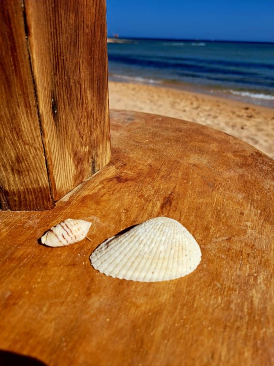 Strand Shams Prestige Abu Soma-Adults Only