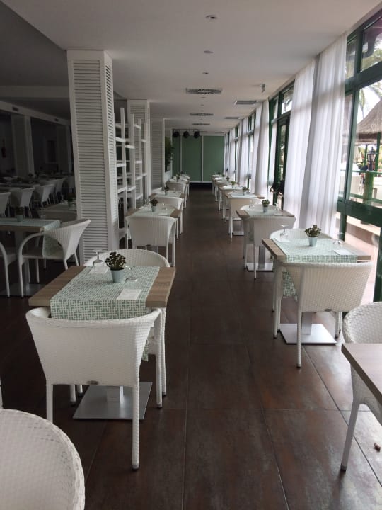 Gastro Canary Garden Club