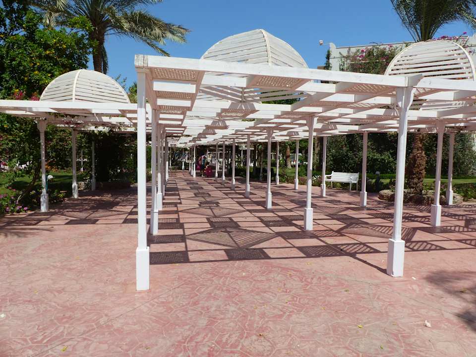 Gartenanlage Desert Rose