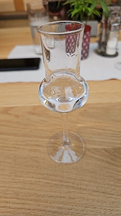 Gastro Hotel Drei Birken