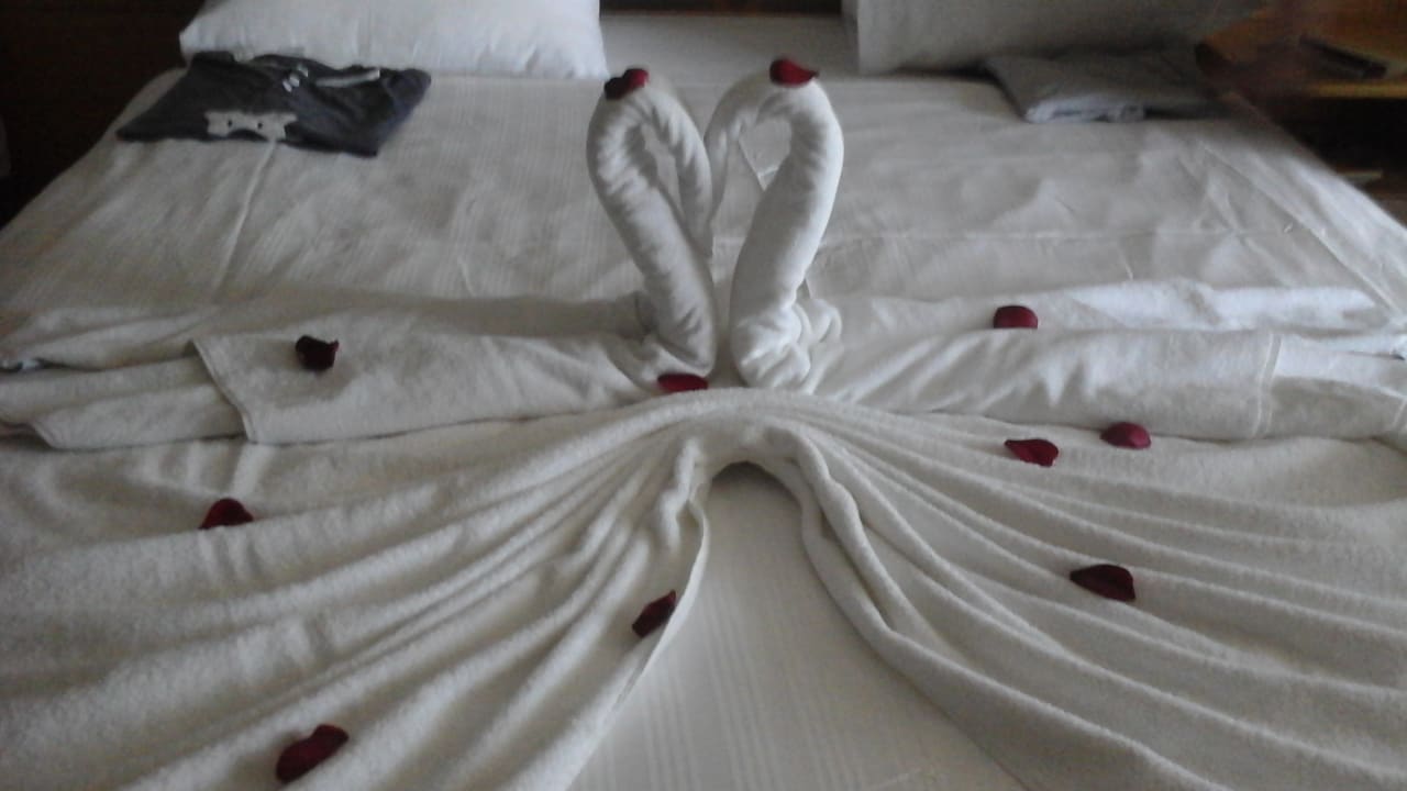 Zimmer Papillon Ayscha