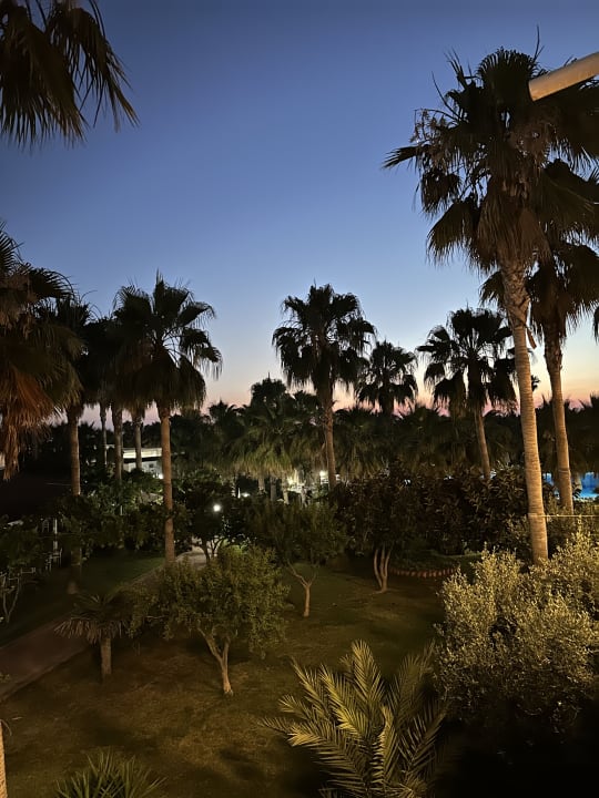 Gartenanlage Seaden Sea World Resort & Spa