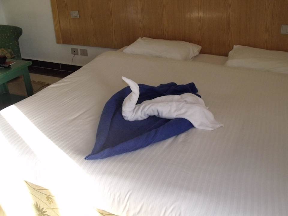 Pokój Pickalbatros Alf Leila Wa Leila Resort - Neverland Hurghada