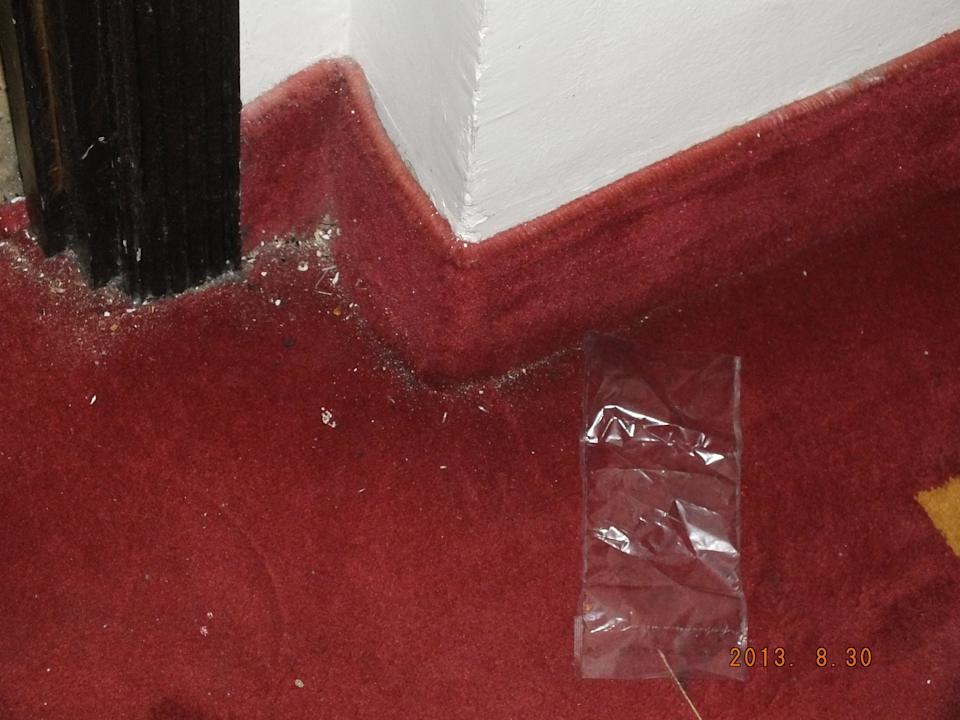 Codzienny widok korytarza Hotel Amir Palace