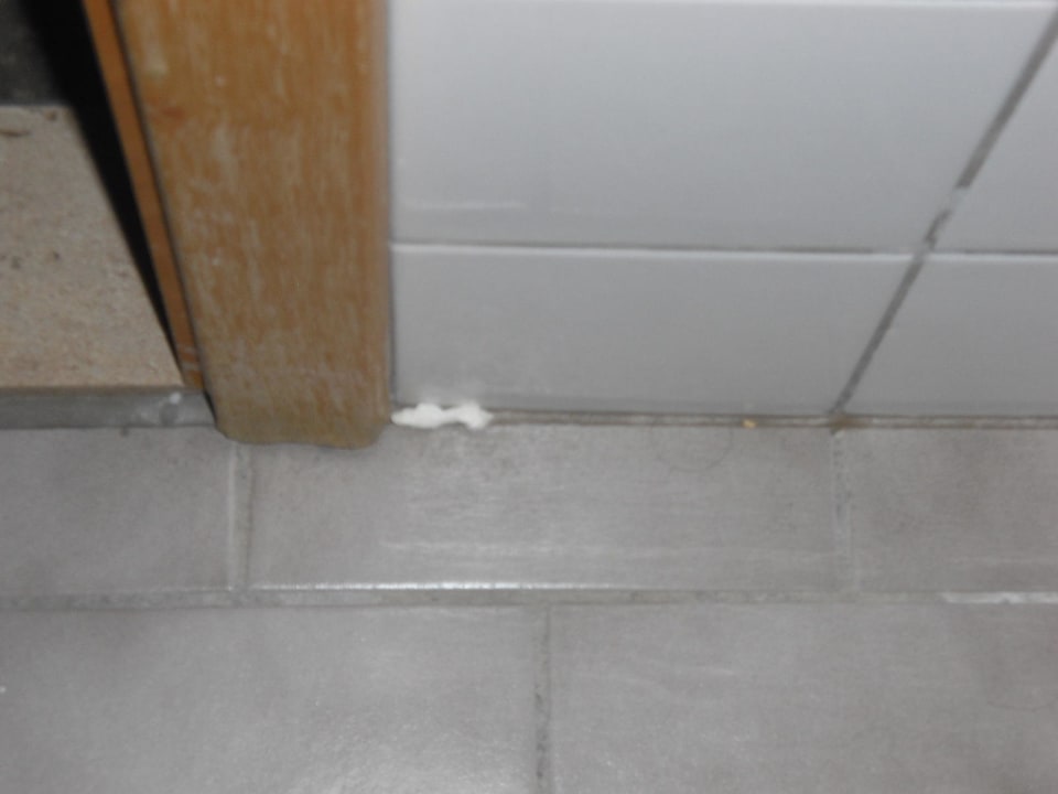 Haare und Toilettenpapier vom Vorgänger Quality Hotel Høje Taastrup