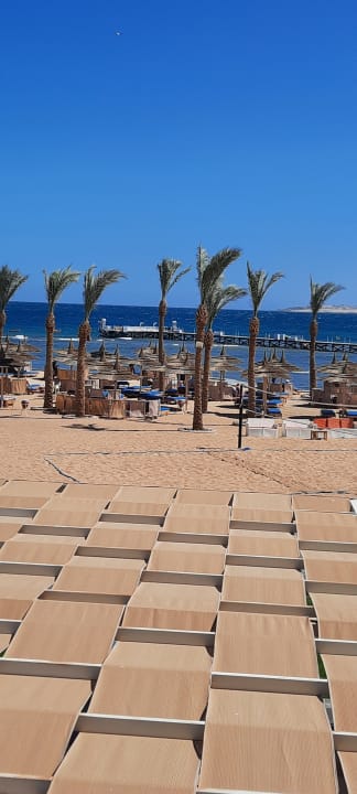Strand Pickalbatros Palace Resort