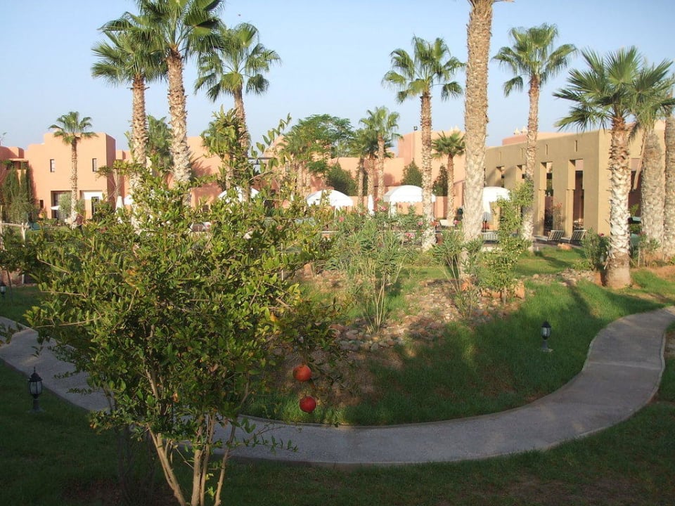 Garten in der Hapimag-Anlage Marrakesch Hapimag Resort Marrakesh