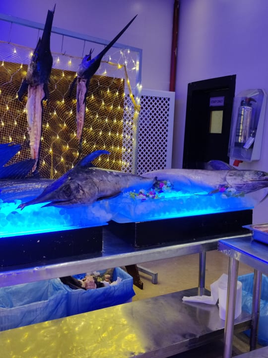 Gastro Cleopatra Luxury Resort Makadi Bay