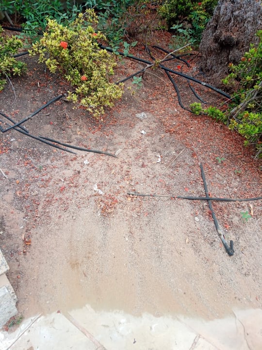 Gartenanlage Miramar Al Aqah Beach Resort