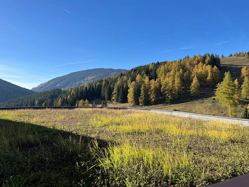 Ausblick Almwellness Hotel Pierer