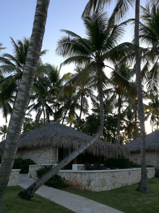 Gartenanlage Hotel Viva Dominicus Beach by Wyndham - All Inclusive Resort