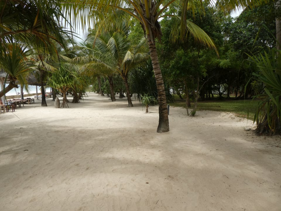 Gartenanlage Jaz Adonia Beach Resort