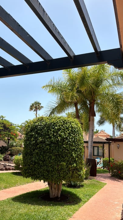 Gartenanlage allsun Hotel Esplendido