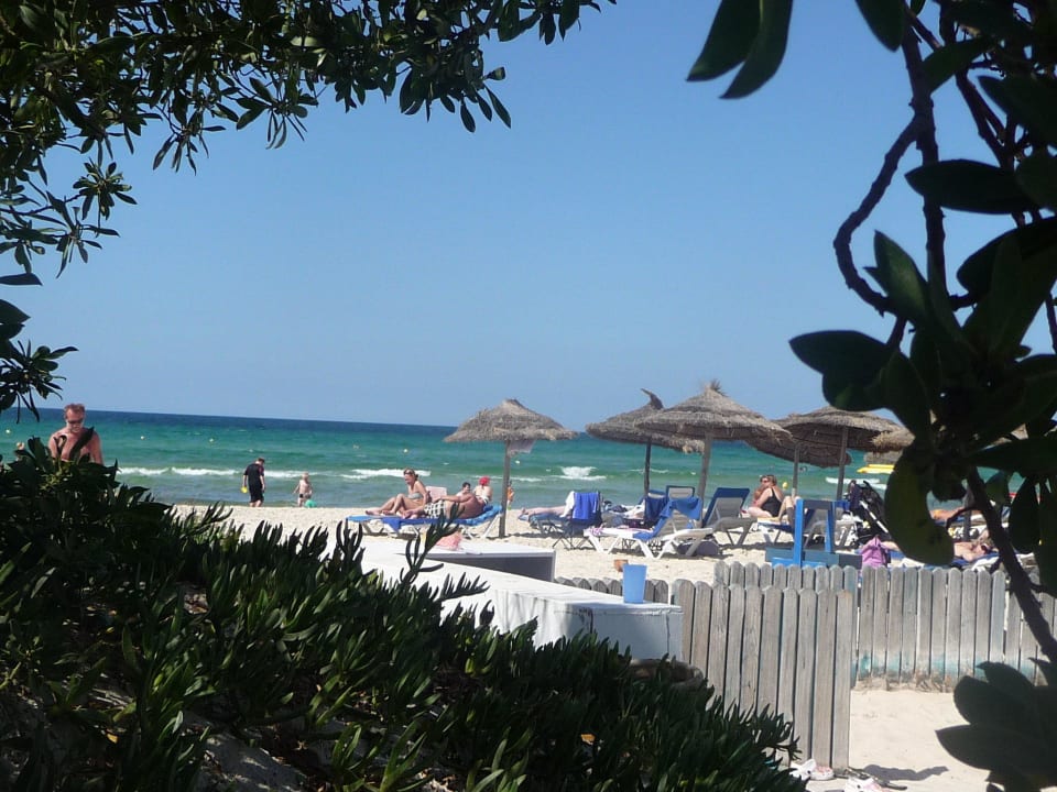 Blick auf den Strand Calimera One Resort Jockey