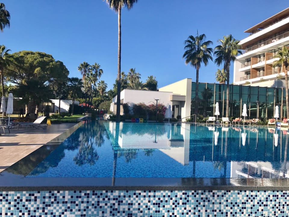 Pool Acanthus Cennet Barut Collection