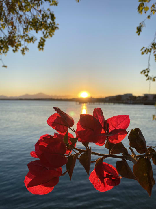 Ausblick Marriott Hurghada Beach Resort