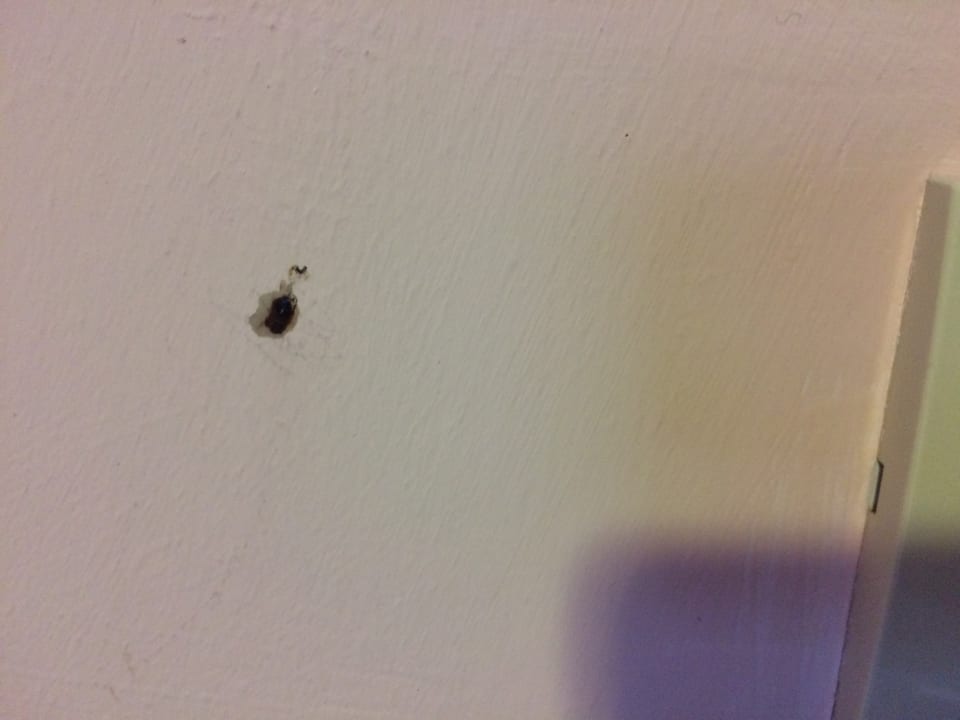 Zimmer Sporthotel Spögler